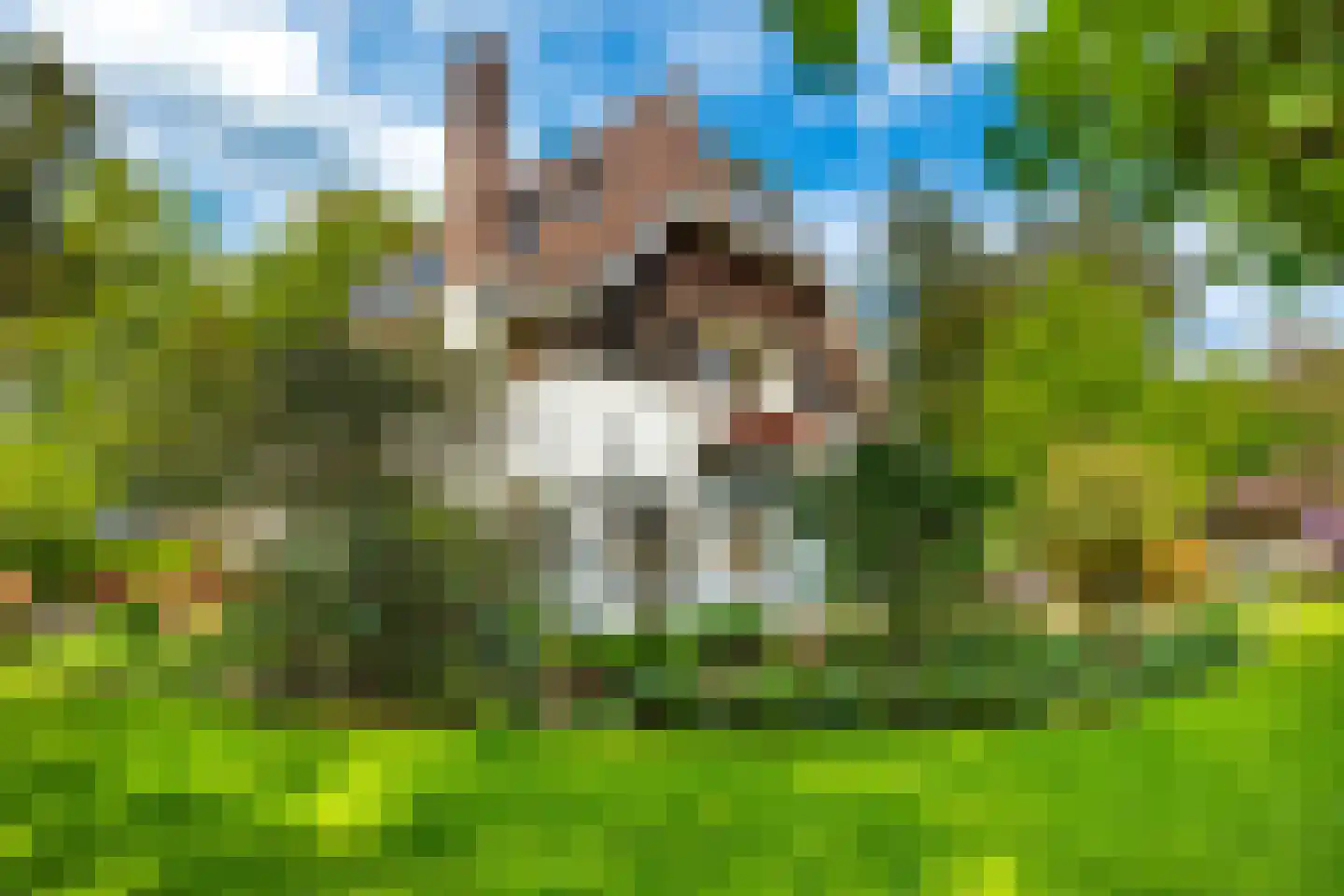Zonneheuvelweg 26 Oosterbeek thumbnail 30