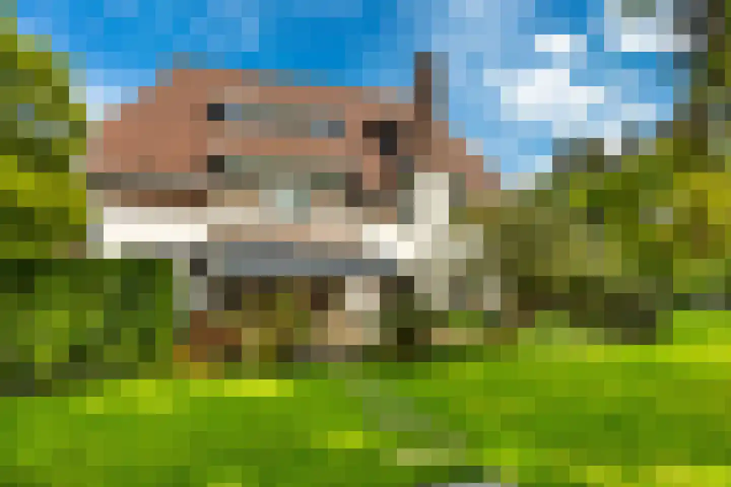 Zonneheuvelweg 26 Oosterbeek thumbnail 31