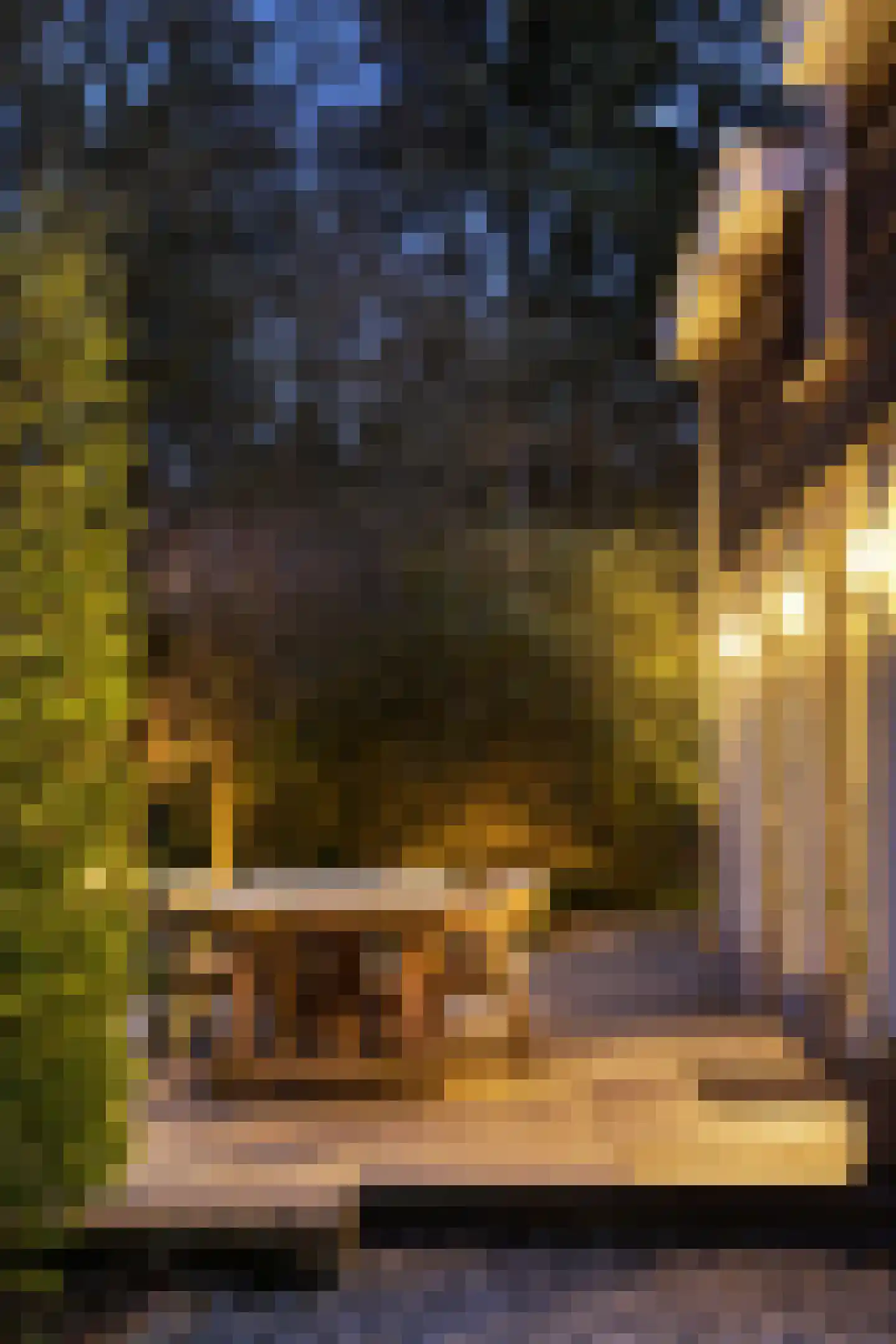 Zonneheuvelweg 26 Oosterbeek thumbnail 32