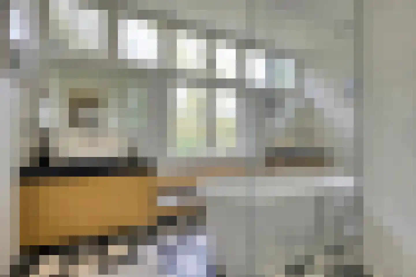 Zonneheuvelweg 26 Oosterbeek thumbnail 41