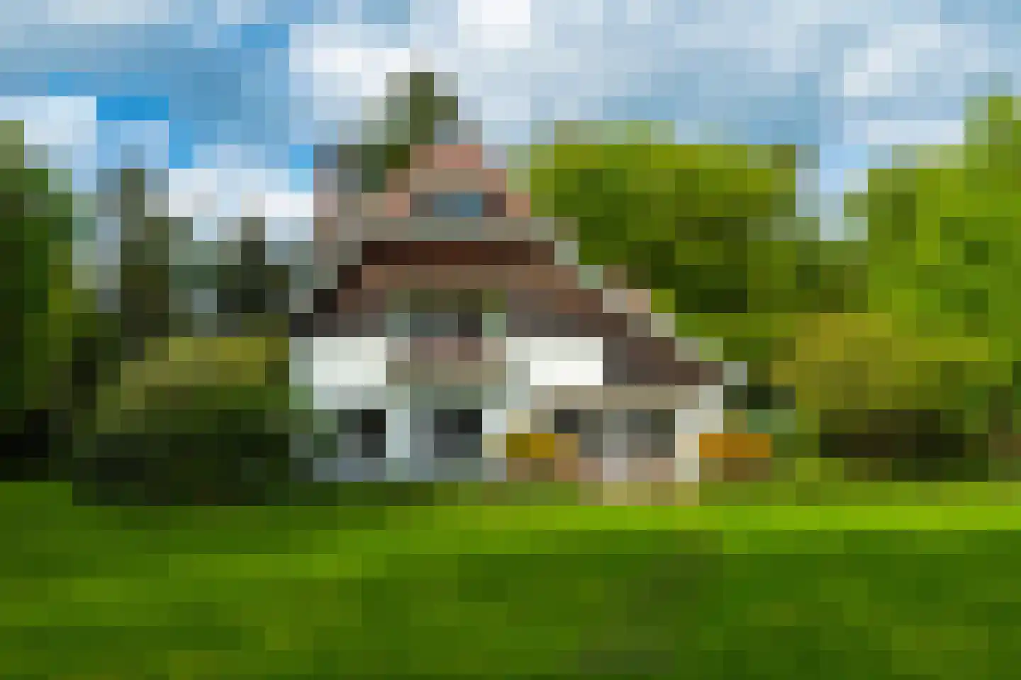 Zonneheuvelweg 26 Oosterbeek thumbnail 5