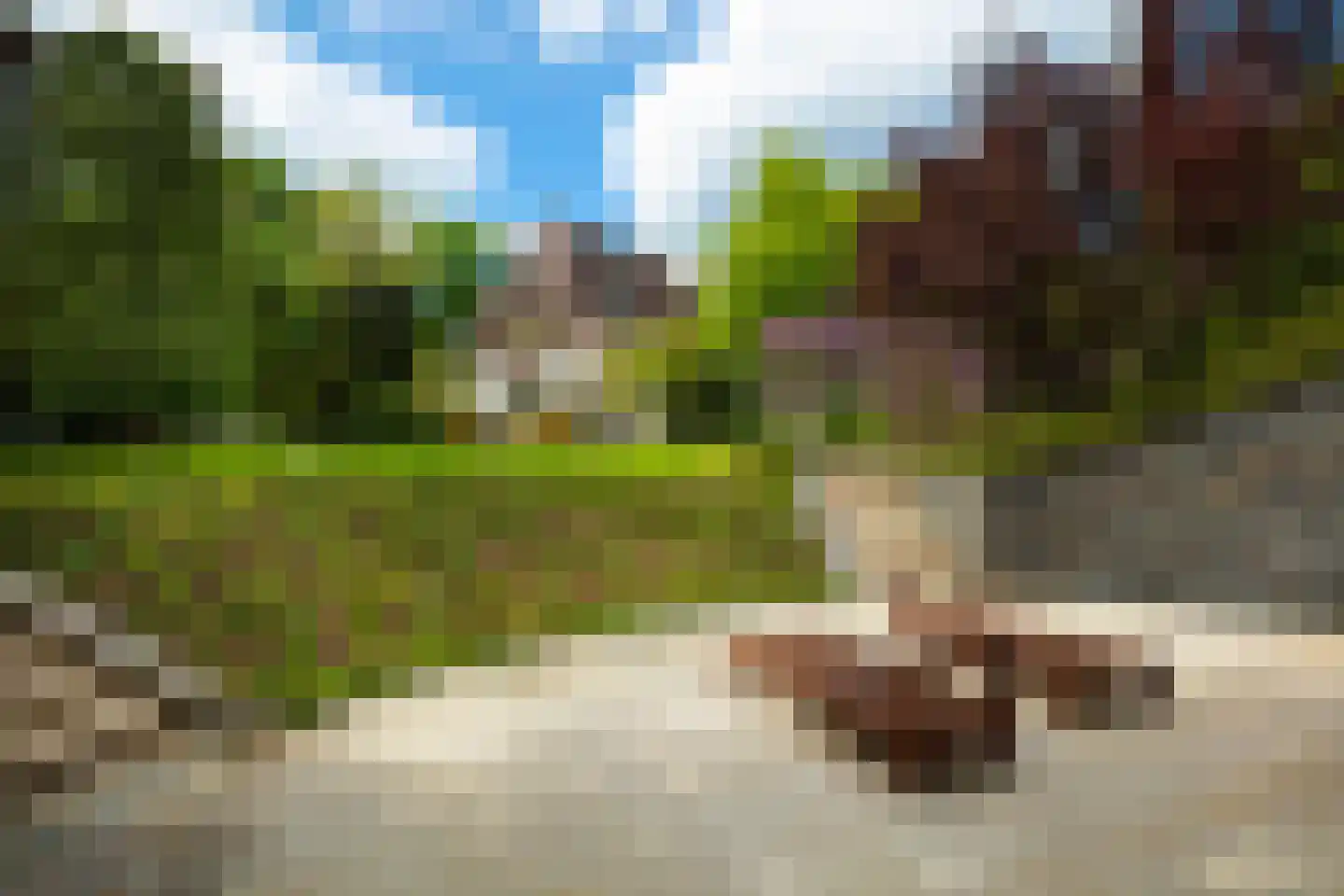 Zonneheuvelweg 26 Oosterbeek thumbnail 55