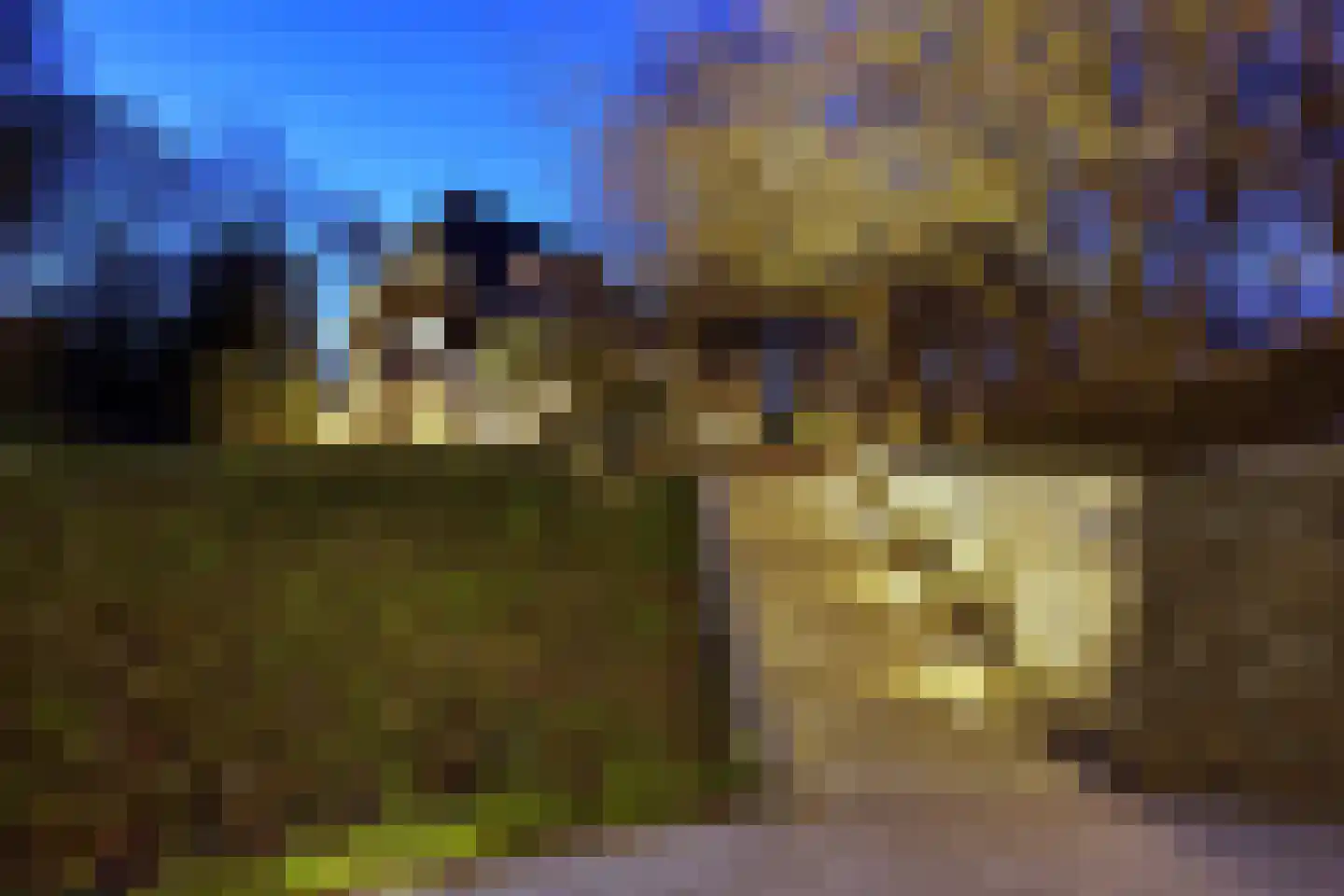 Zonneheuvelweg 26 Oosterbeek thumbnail 56