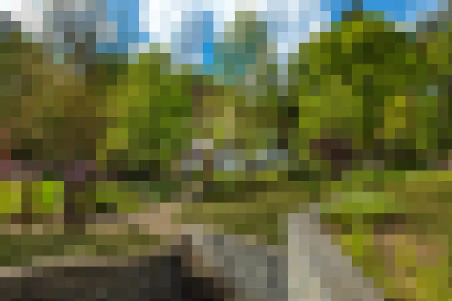 Zonneheuvelweg 26 Oosterbeek thumbnail 57