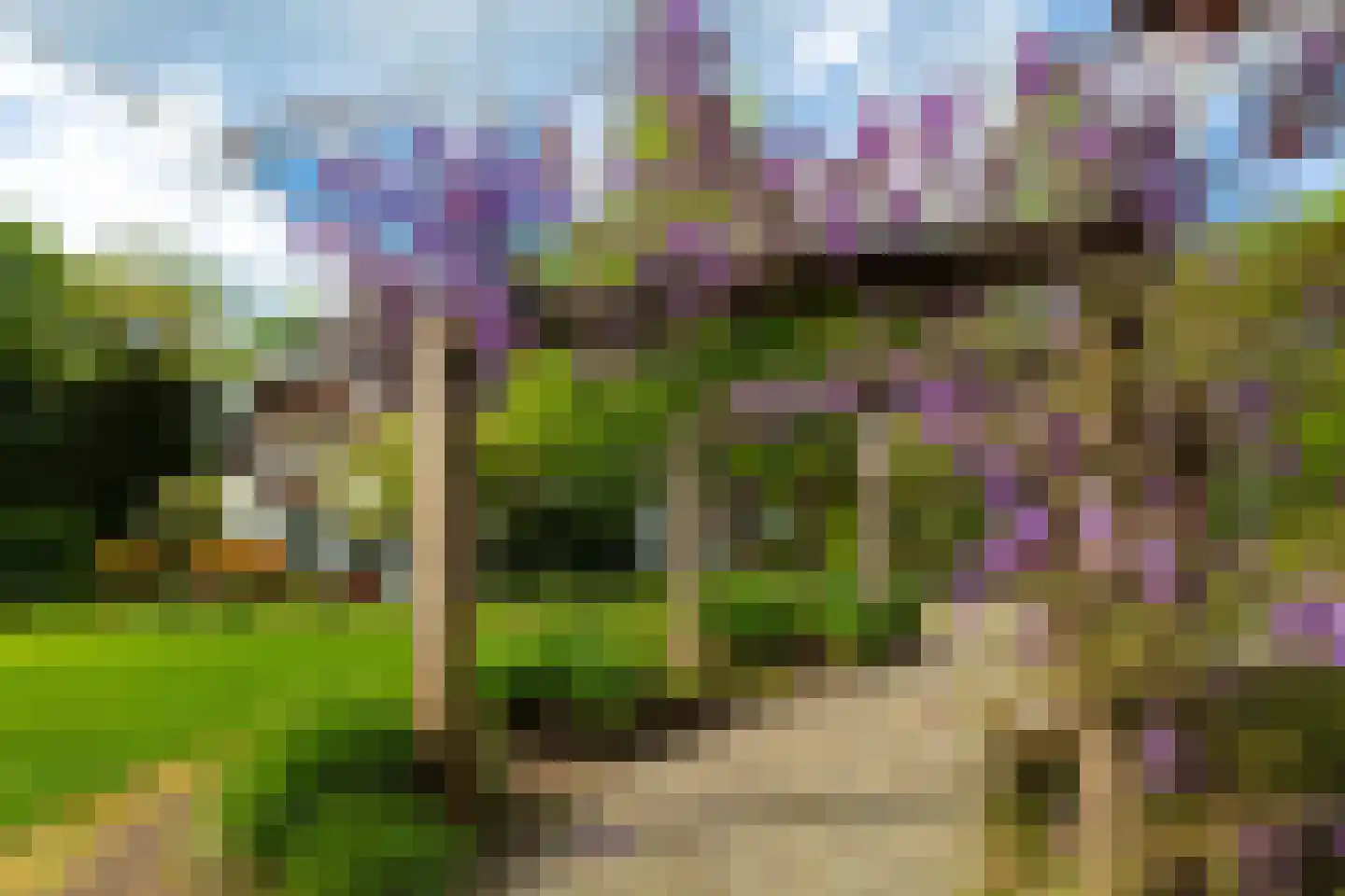 Zonneheuvelweg 26 Oosterbeek thumbnail 58