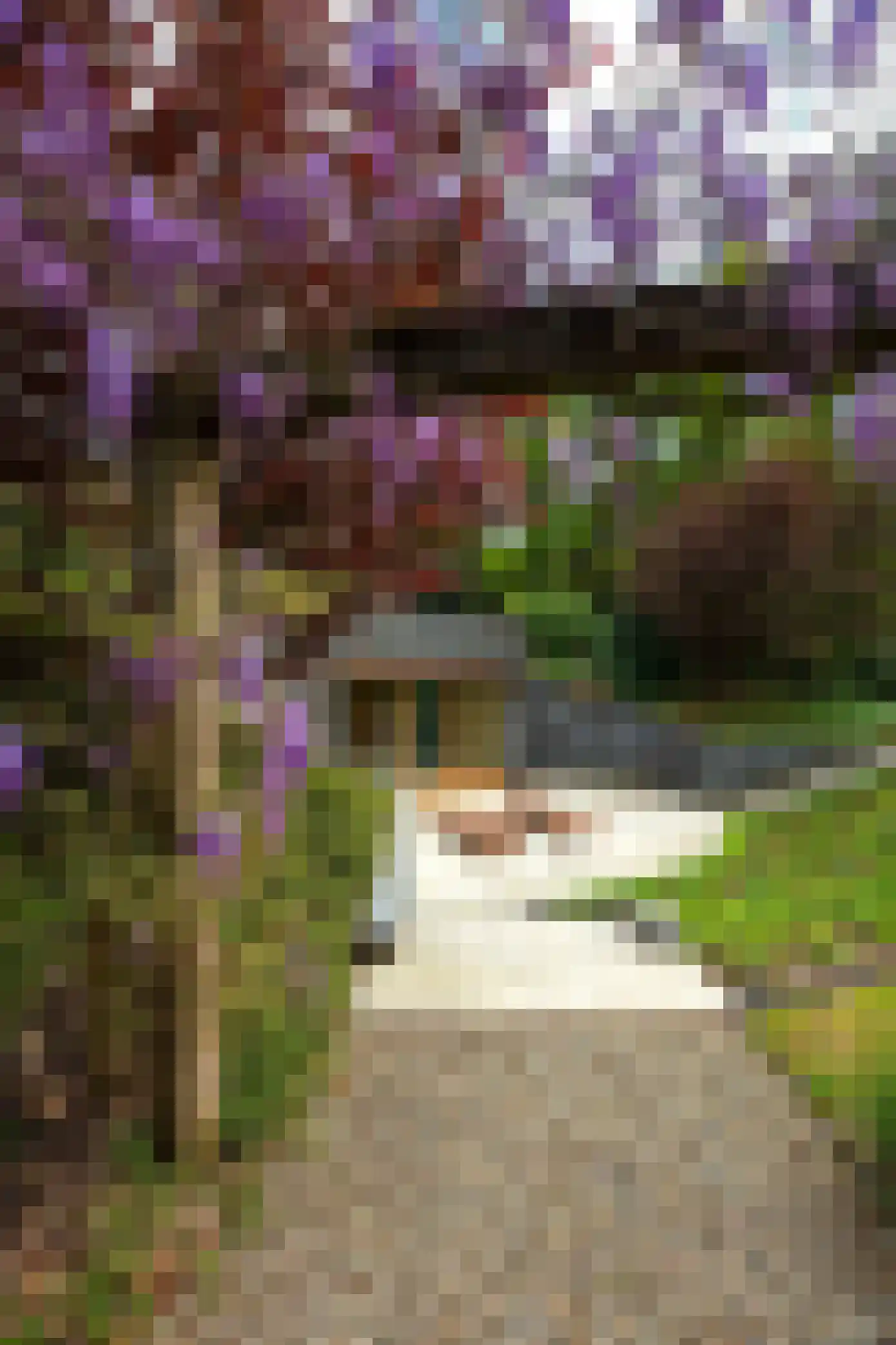 Zonneheuvelweg 26 Oosterbeek thumbnail 59