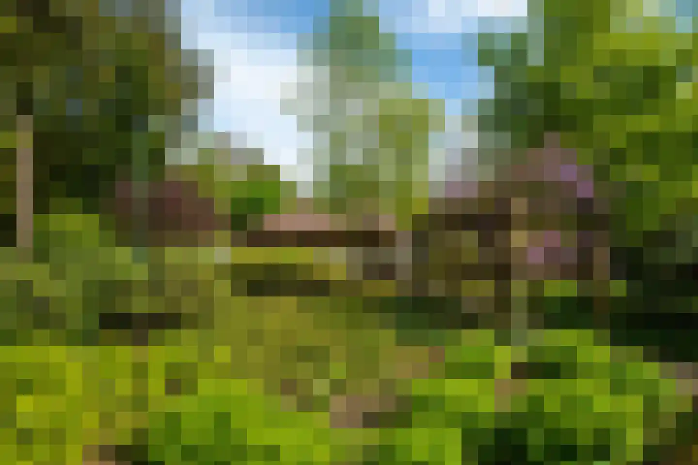 Zonneheuvelweg 26 Oosterbeek thumbnail 61