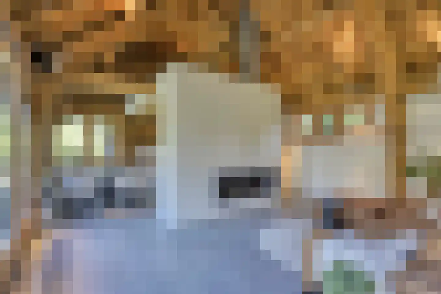 Zonneheuvelweg 26 Oosterbeek thumbnail 64