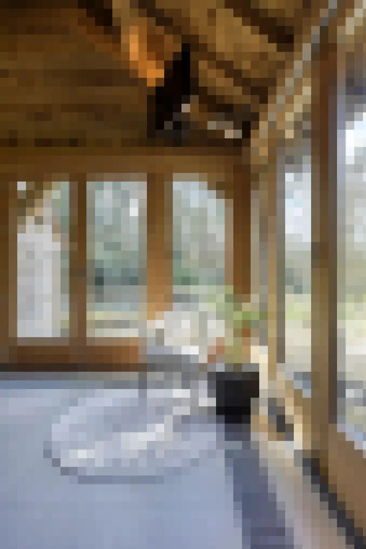 Zonneheuvelweg 26 Oosterbeek thumbnail 68