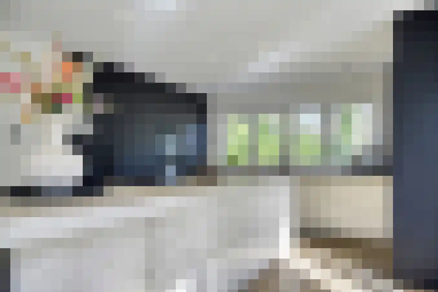 Zonneheuvelweg 26 Oosterbeek thumbnail 9