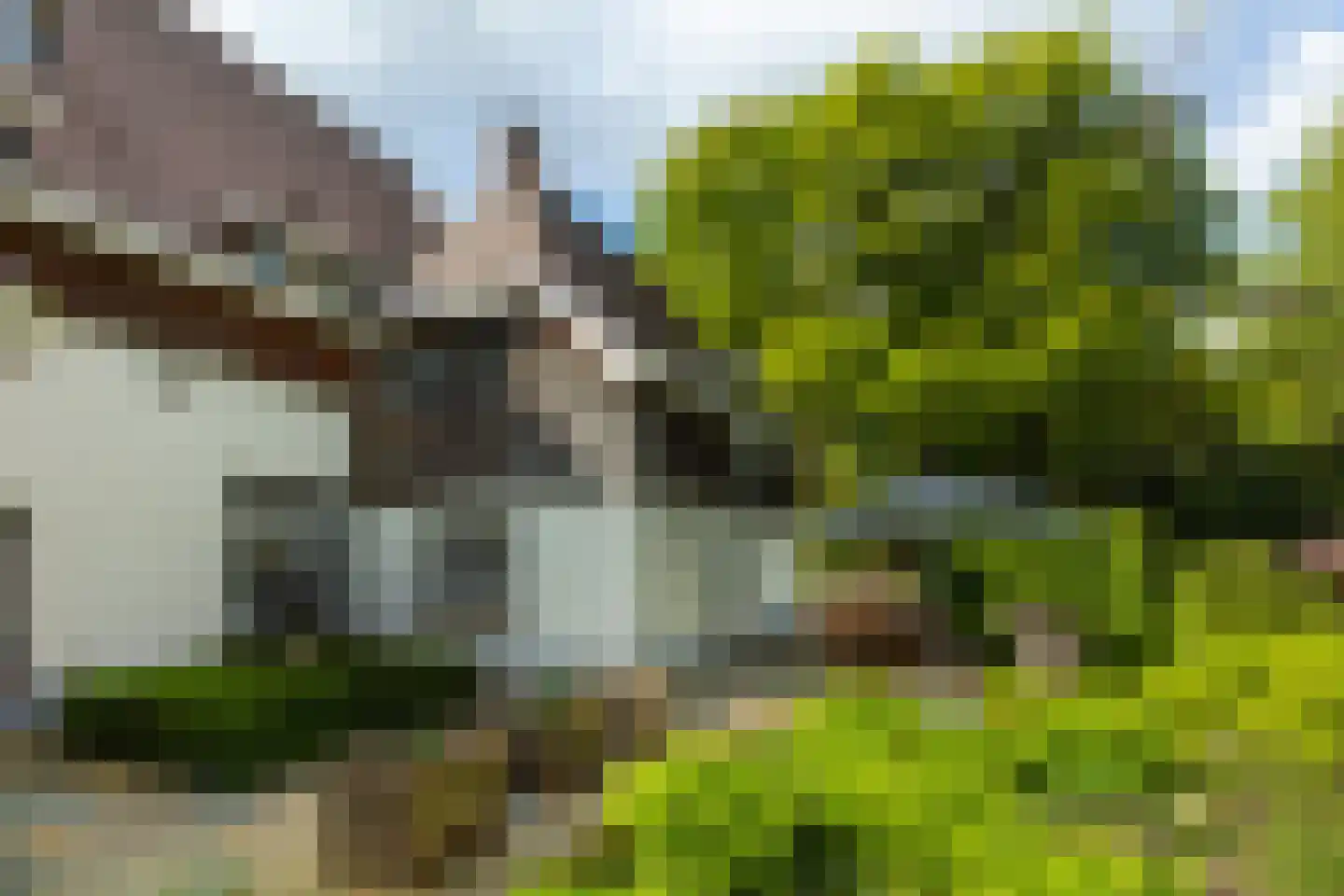 Zonneheuvelweg 26 Oosterbeek thumbnail 92