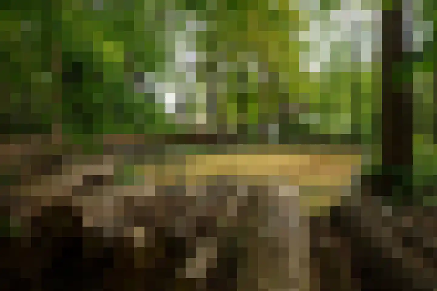 Zonneheuvelweg 26 Oosterbeek thumbnail 95