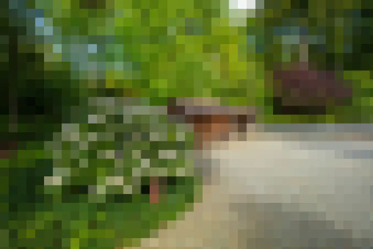 Zonneheuvelweg 26 Oosterbeek thumbnail 97