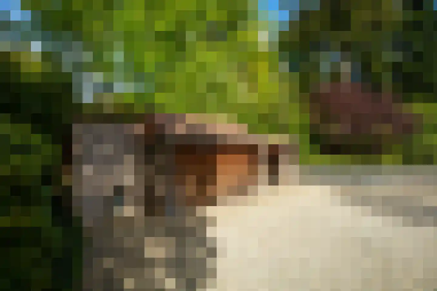 Zonneheuvelweg 26 Oosterbeek thumbnail 98
