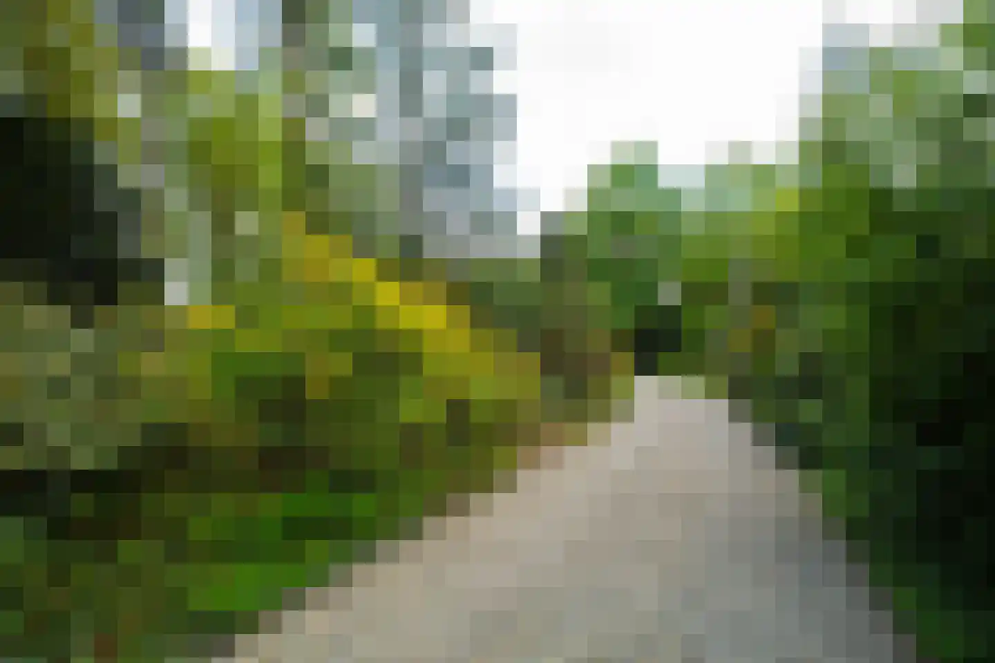 Zonneheuvelweg 26 Oosterbeek thumbnail 99