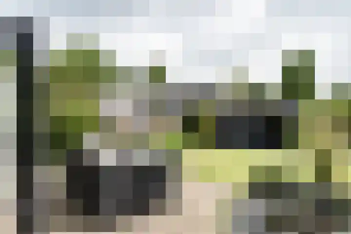 Zonnehoek 100 Vijfhuizen thumbnail 12