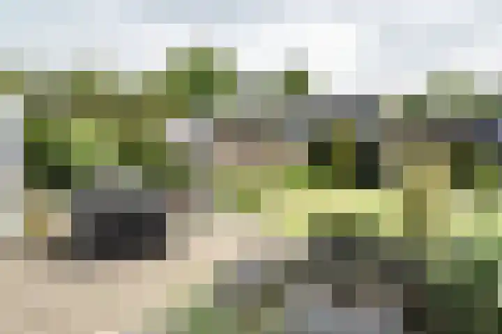 Zonnehoek 100 Vijfhuizen thumbnail 13