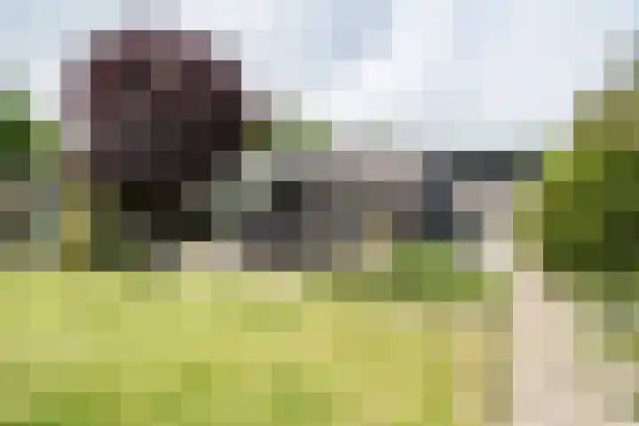 Zonnehoek 100 Vijfhuizen thumbnail 14