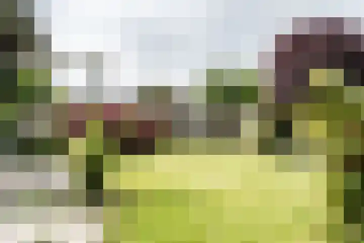 Zonnehoek 100 Vijfhuizen thumbnail 15