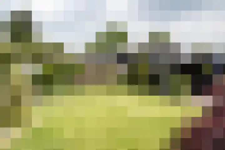 Zonnehoek 100 Vijfhuizen thumbnail 16