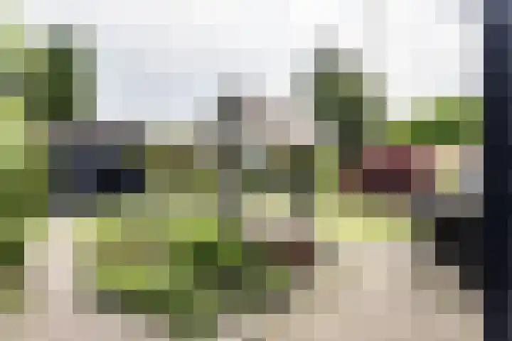 Zonnehoek 100 Vijfhuizen thumbnail 17