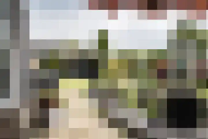 Zonnehoek 100 Vijfhuizen thumbnail 18