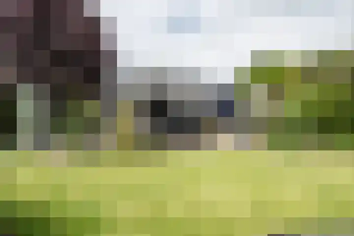 Zonnehoek 100 Vijfhuizen thumbnail 23