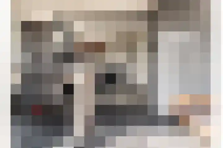 Zonnehoek 100 Vijfhuizen thumbnail 8