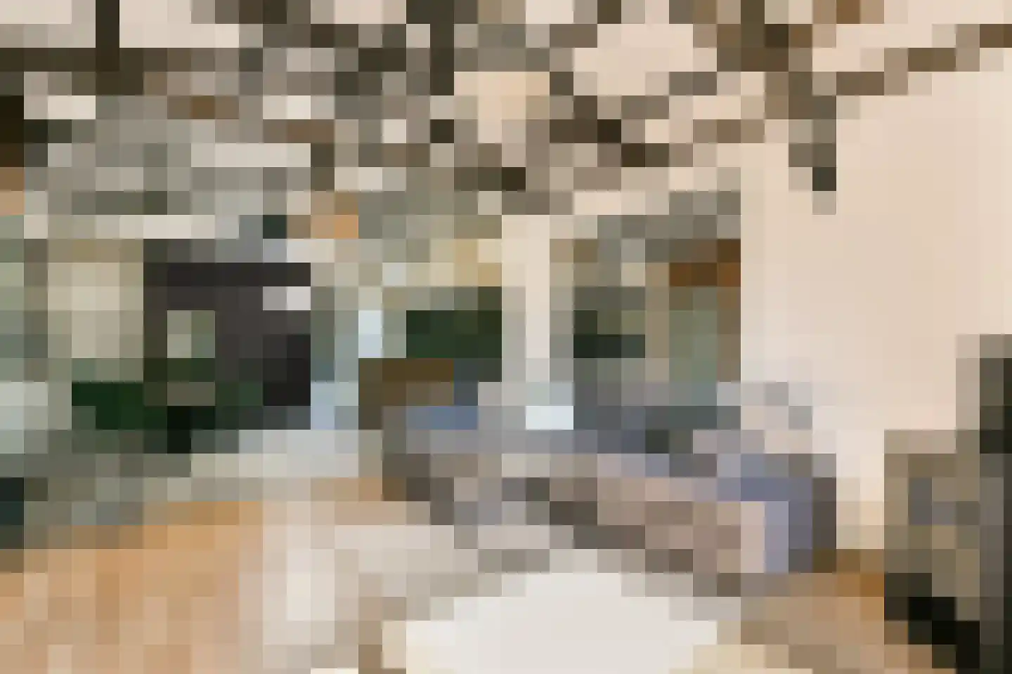 Zonnehoek 115 Vijfhuizen thumbnail 6