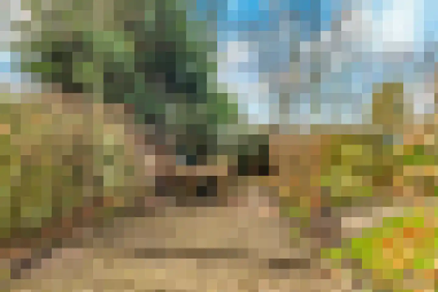 Zonnehoek 120 Vijfhuizen thumbnail 30