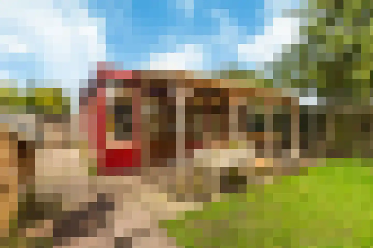 Zonnehoek 120 Vijfhuizen thumbnail 9