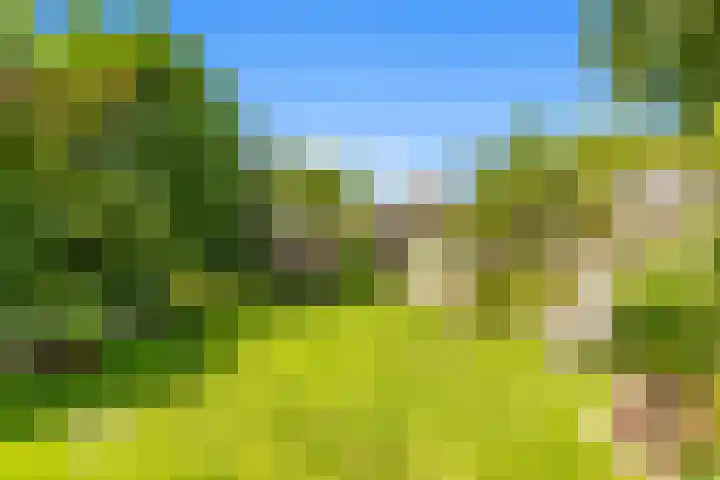 Zonnehoek 62 Vijfhuizen thumbnail 47