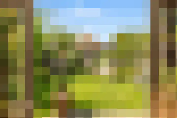 Zonnehoek 62 Vijfhuizen thumbnail 66