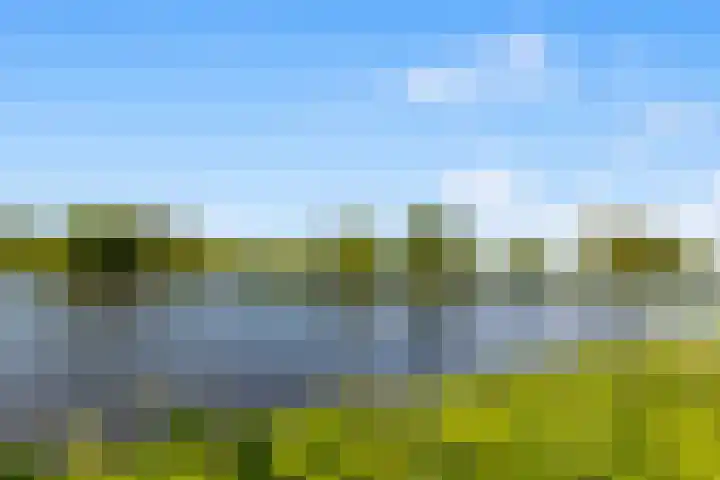 Zonnehoek 62 Vijfhuizen thumbnail 95