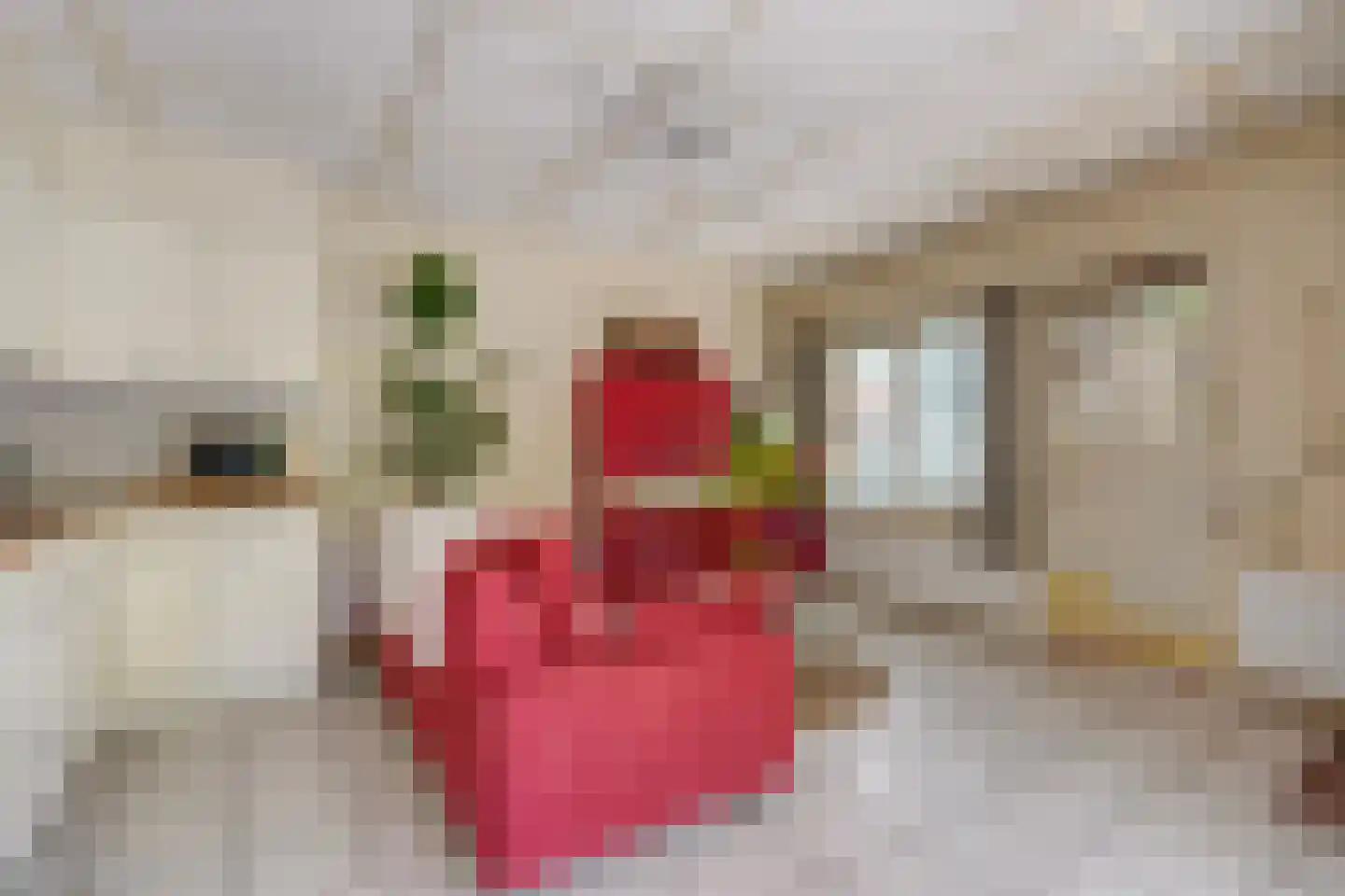 Zonnehoek 69 Vijfhuizen thumbnail 12