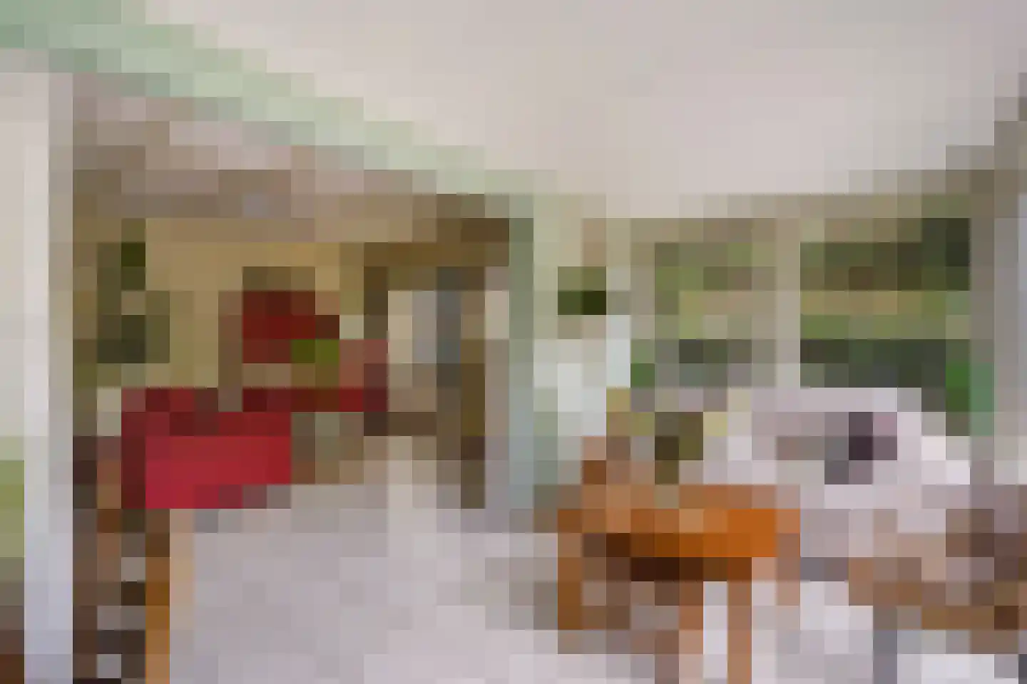 Zonnehoek 69 Vijfhuizen thumbnail 15