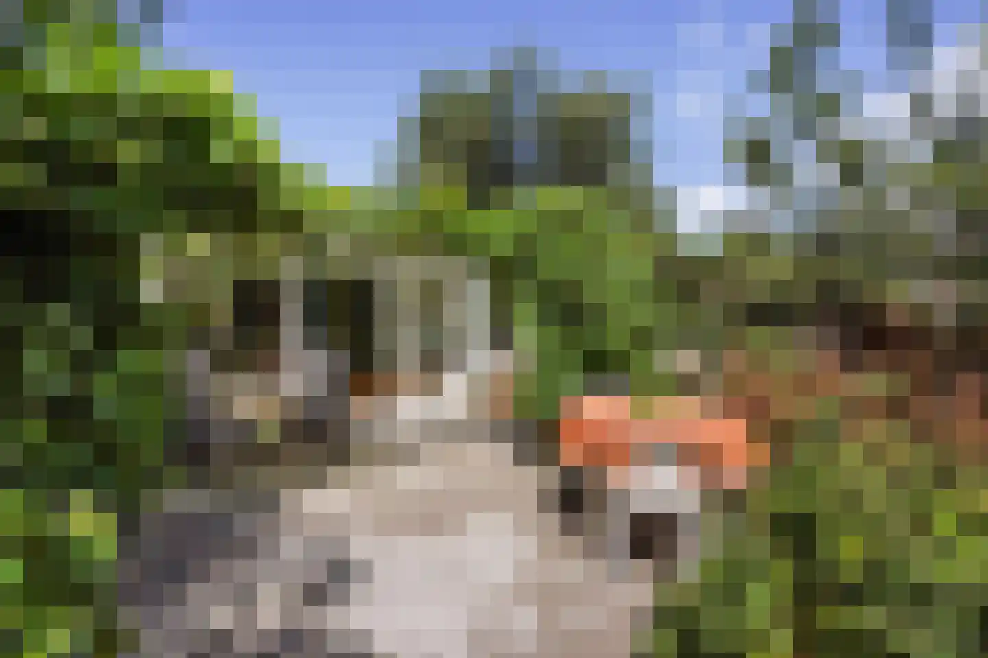 Zonnehoek 69 Vijfhuizen thumbnail 17