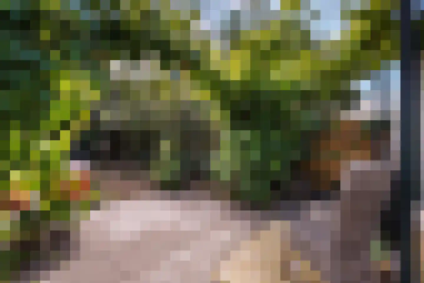 Zonnehoek 69 Vijfhuizen thumbnail 22