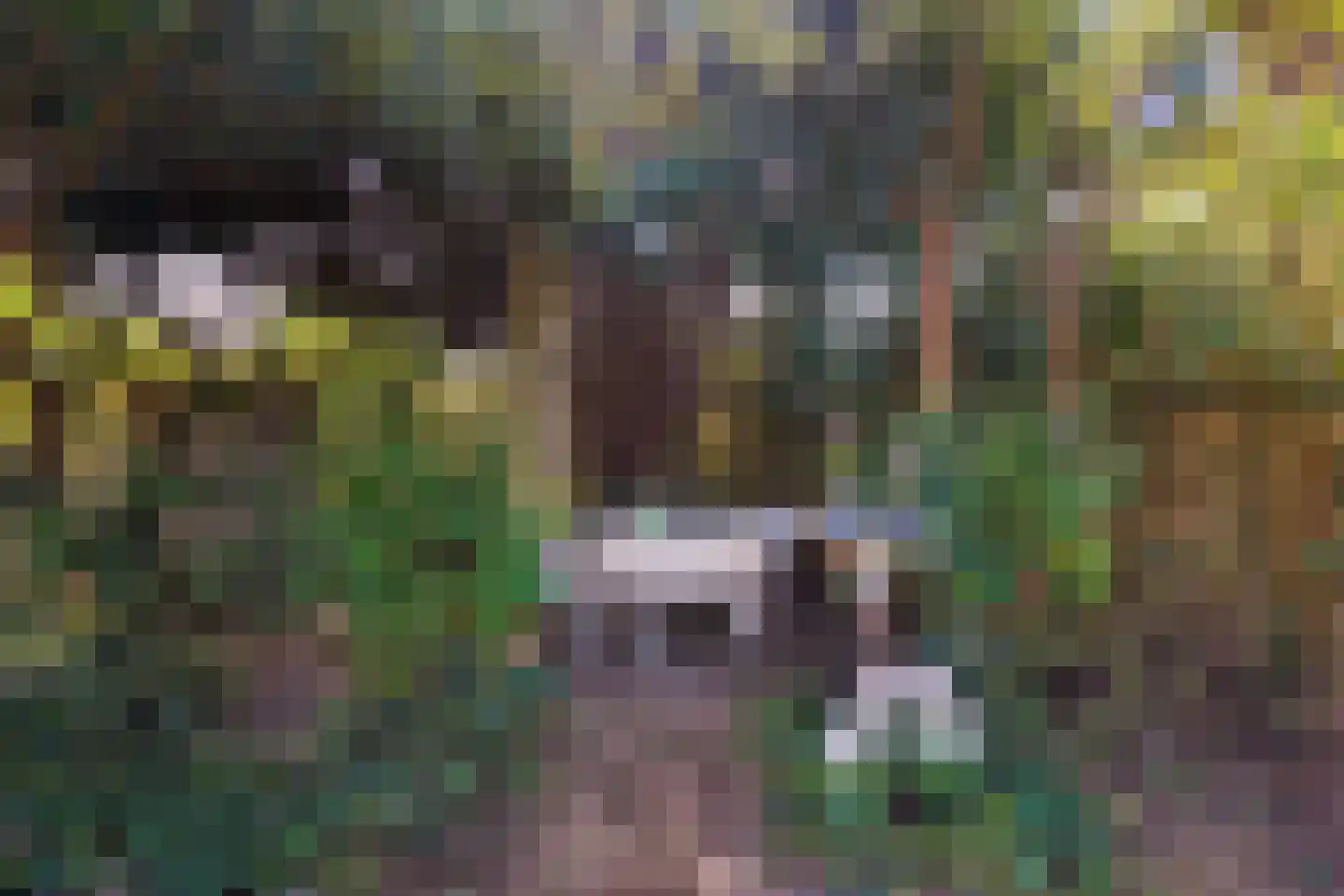 Zonnehoek 69 Vijfhuizen thumbnail 25