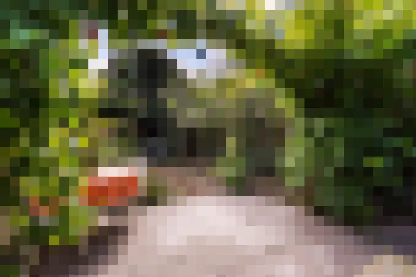 Zonnehoek 69 Vijfhuizen thumbnail 4