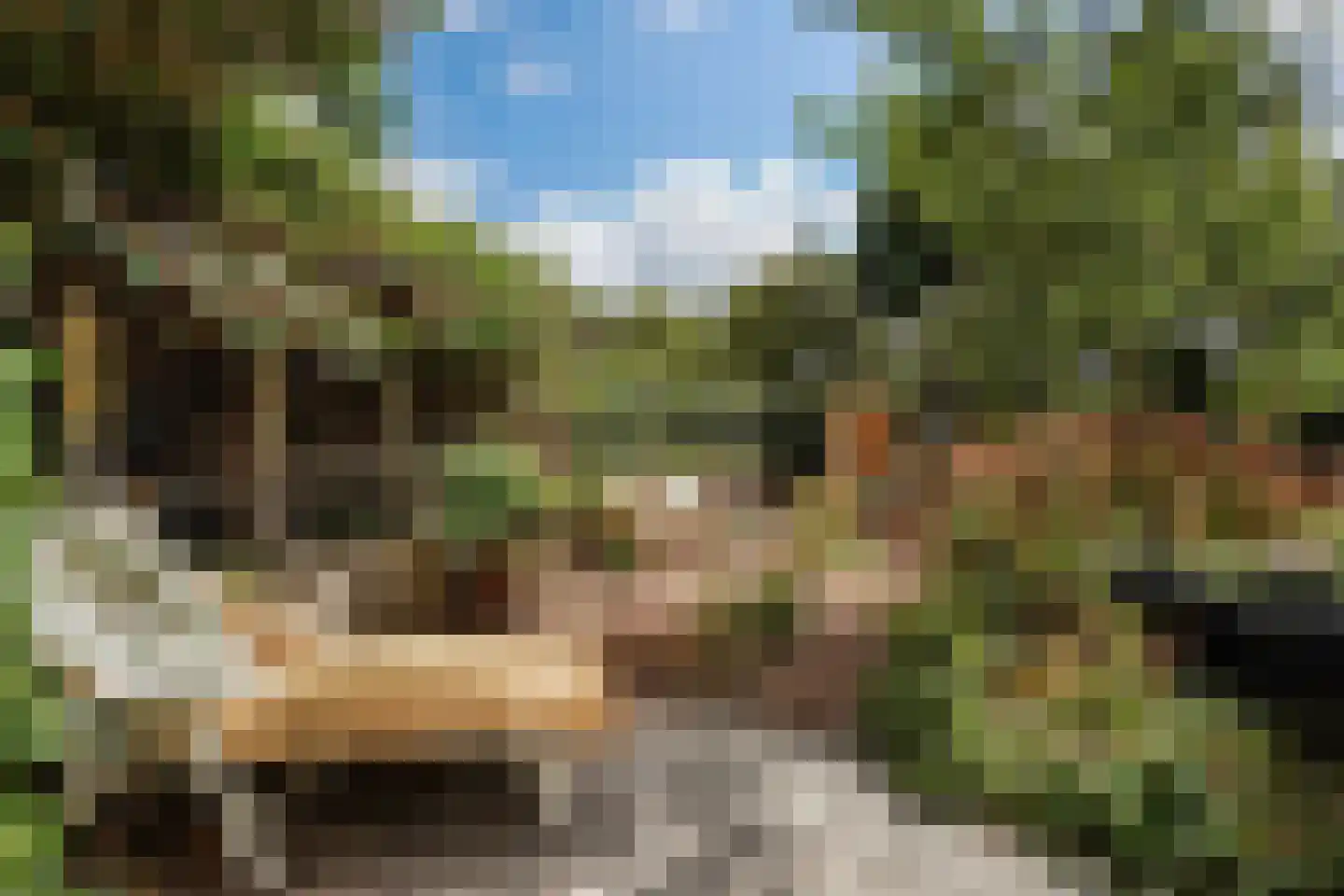 Zonnehoek 69 Vijfhuizen thumbnail 6