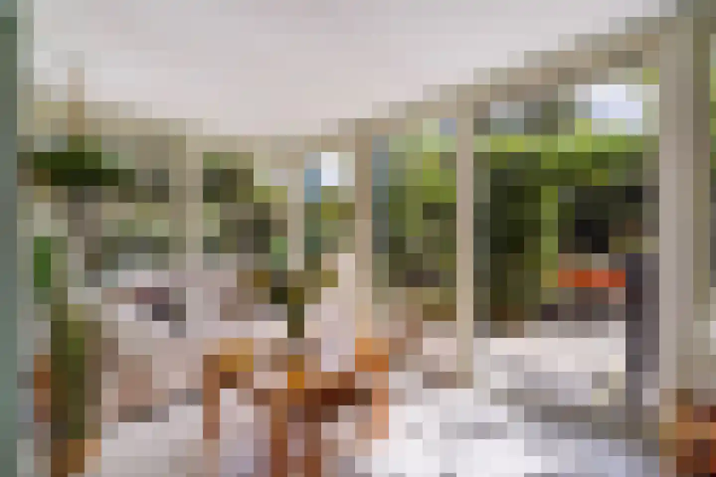Zonnehoek 69 Vijfhuizen thumbnail 9