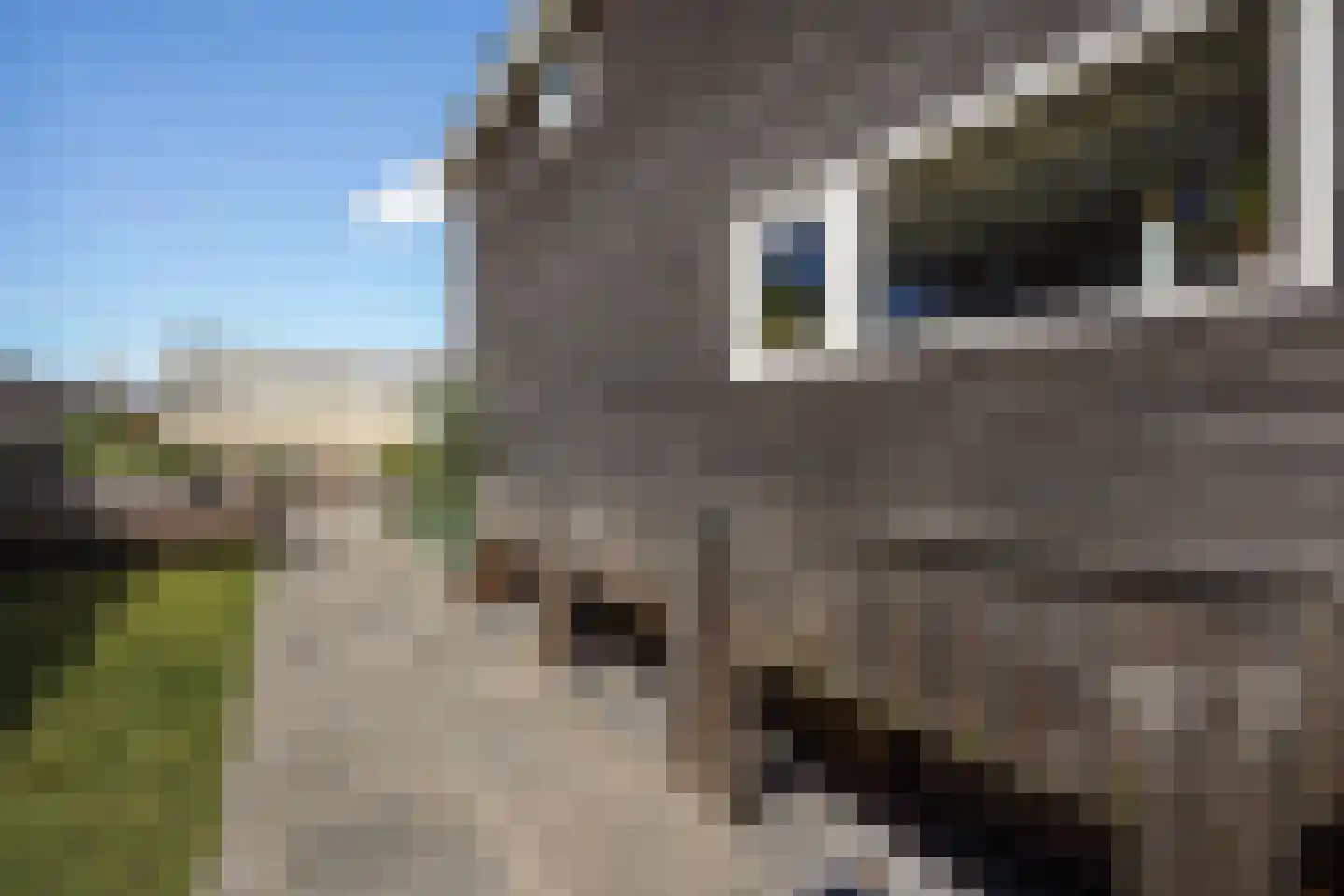 Zonnehoek 71 Vijfhuizen thumbnail 13