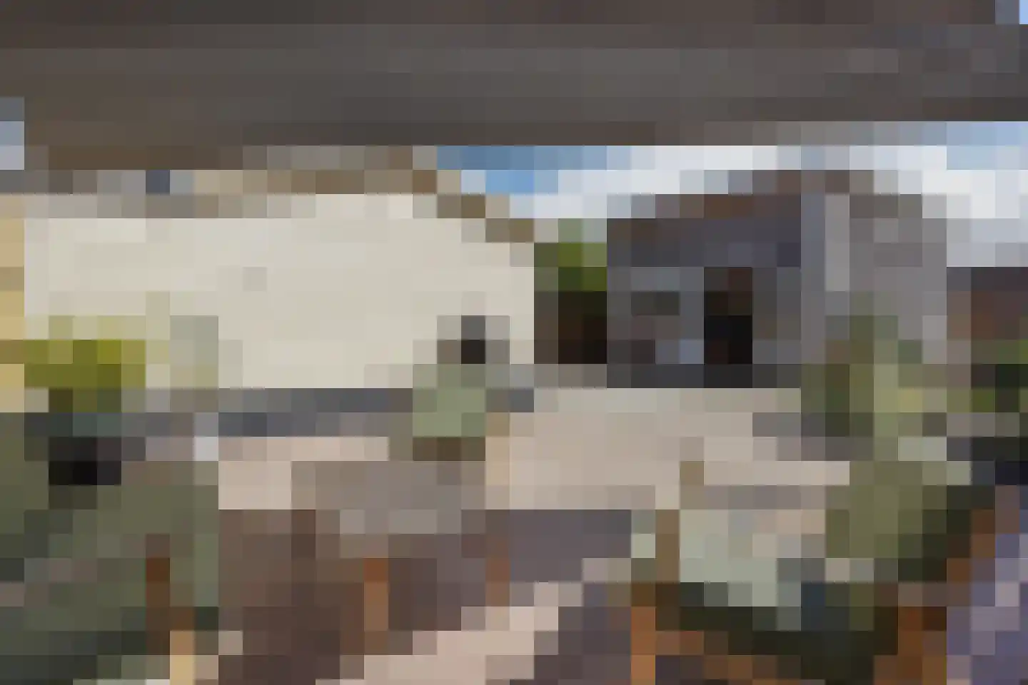 Zonnehoek 71 Vijfhuizen thumbnail 19