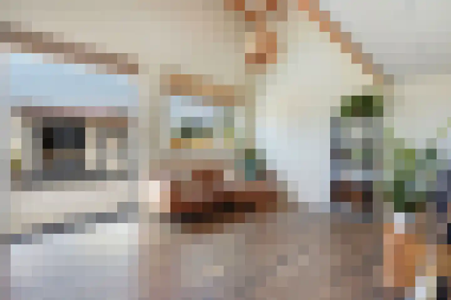 Zonnehoek 71 Vijfhuizen thumbnail 4
