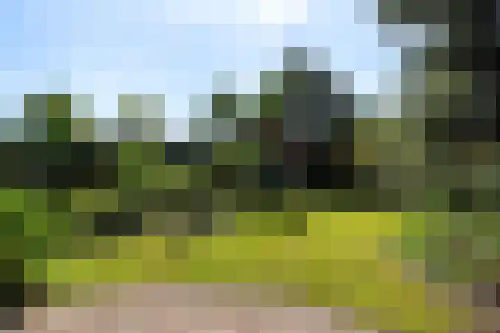 Zonnehoek 8 Vijfhuizen thumbnail 13