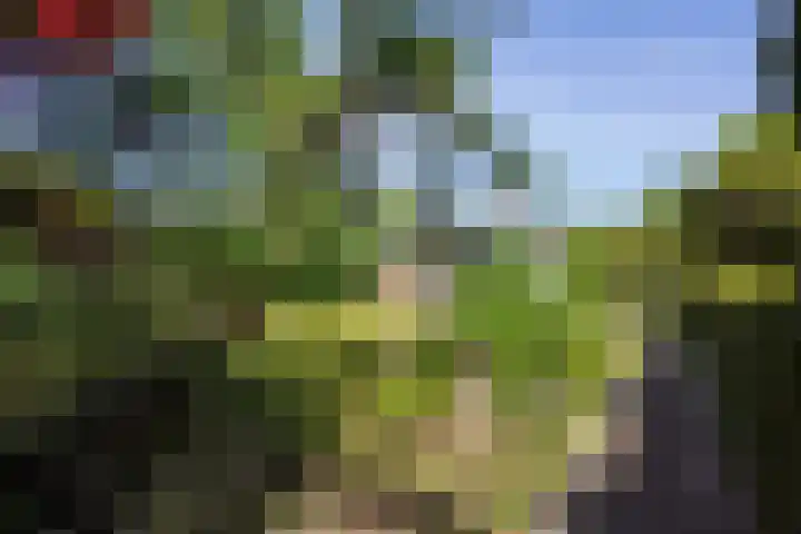 Zonnehoek 8 Vijfhuizen thumbnail 23