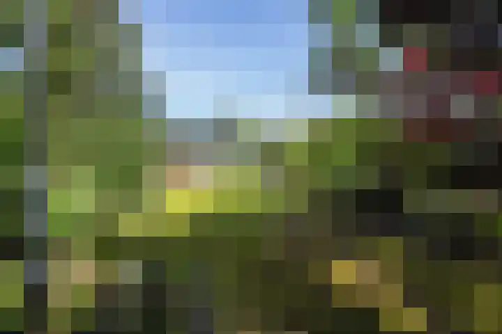 Zonnehoek 8 Vijfhuizen thumbnail 33