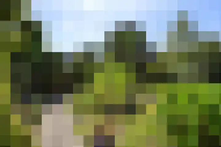 Zonnehoek 8 Vijfhuizen thumbnail 4