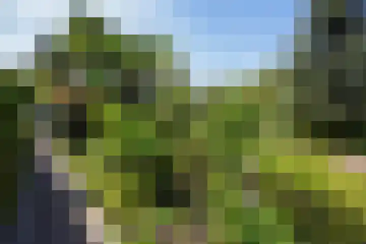 Zonnehoek 8 Vijfhuizen thumbnail 5